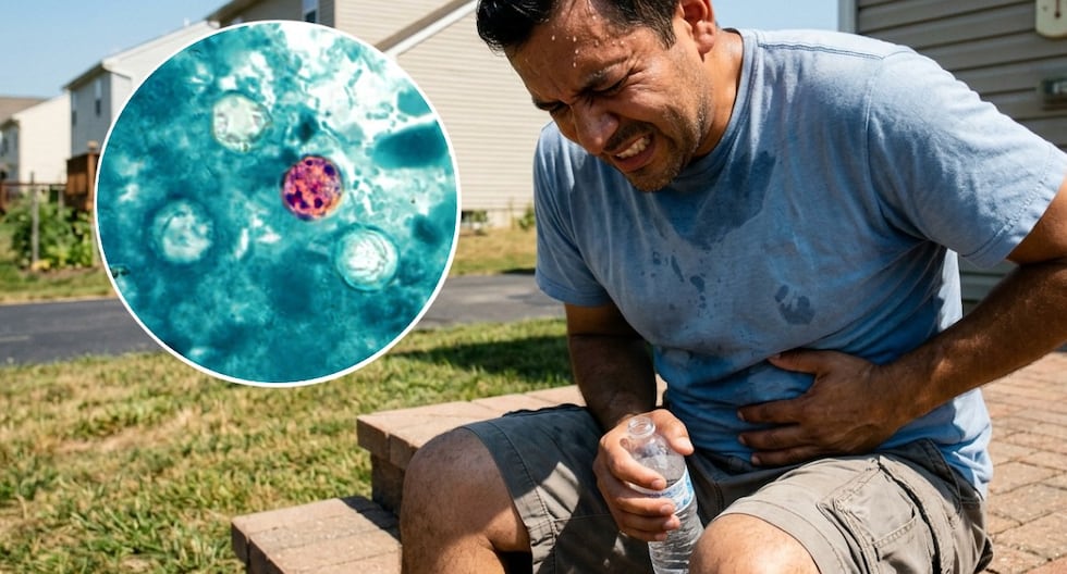 CDC investiga brote de ciclosporiasis con 145 casos en 17 estados y 20 hospitalizaciones