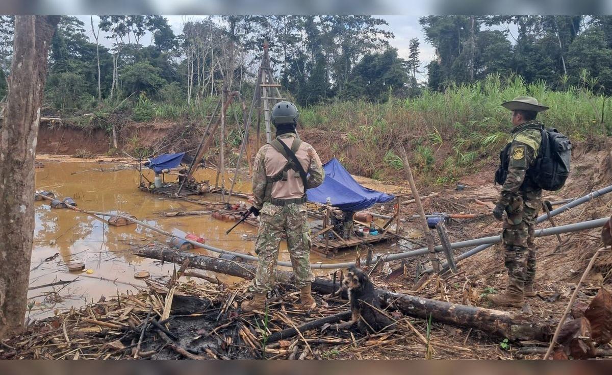 OMI Proposes 5 Actions to Combat Illegal Mining