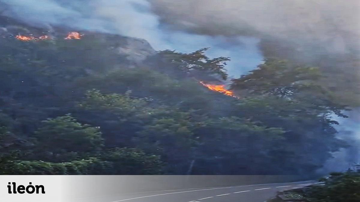 Incendio forestal en Picos de Europa confina pueblo de Ribota de Sajambre