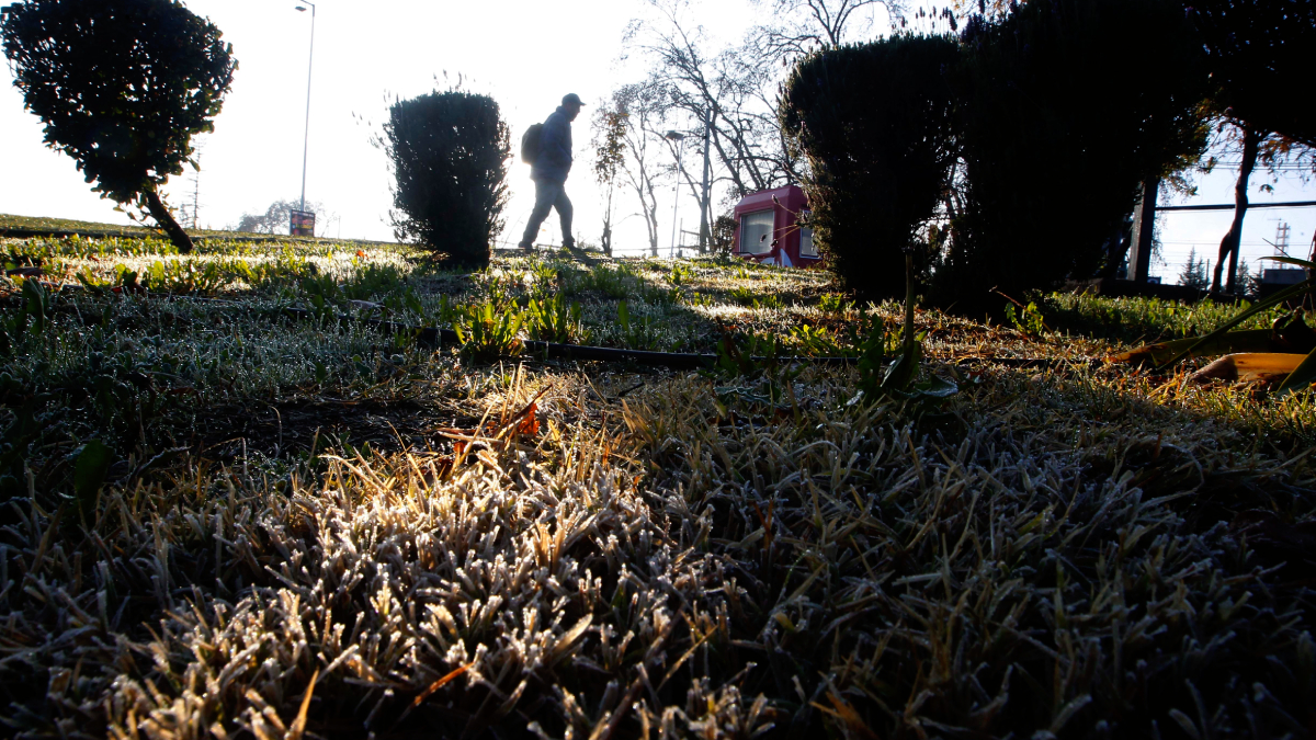 Chile faces potential frost warnings with overnight lows reaching -4°C