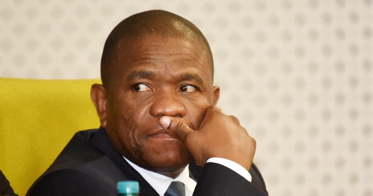 Madlanga Commission Investigates Police Corruption and Criminal Networks