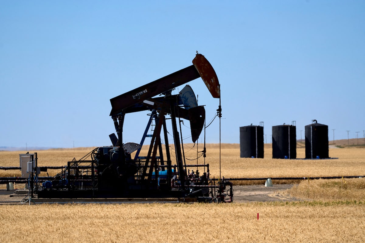 OPEC+ raises output targets as oil prices drop amid geopolitical tensions