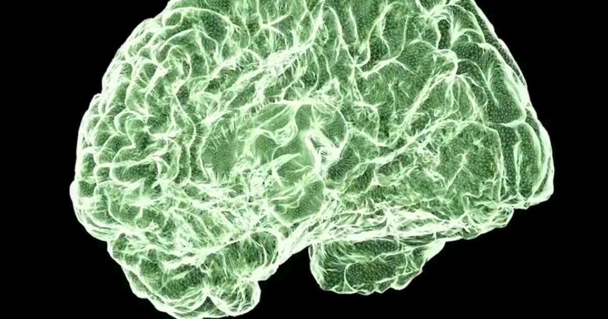 Efectos del cannabis en el cerebro: riesgos en la adolescencia y adultez