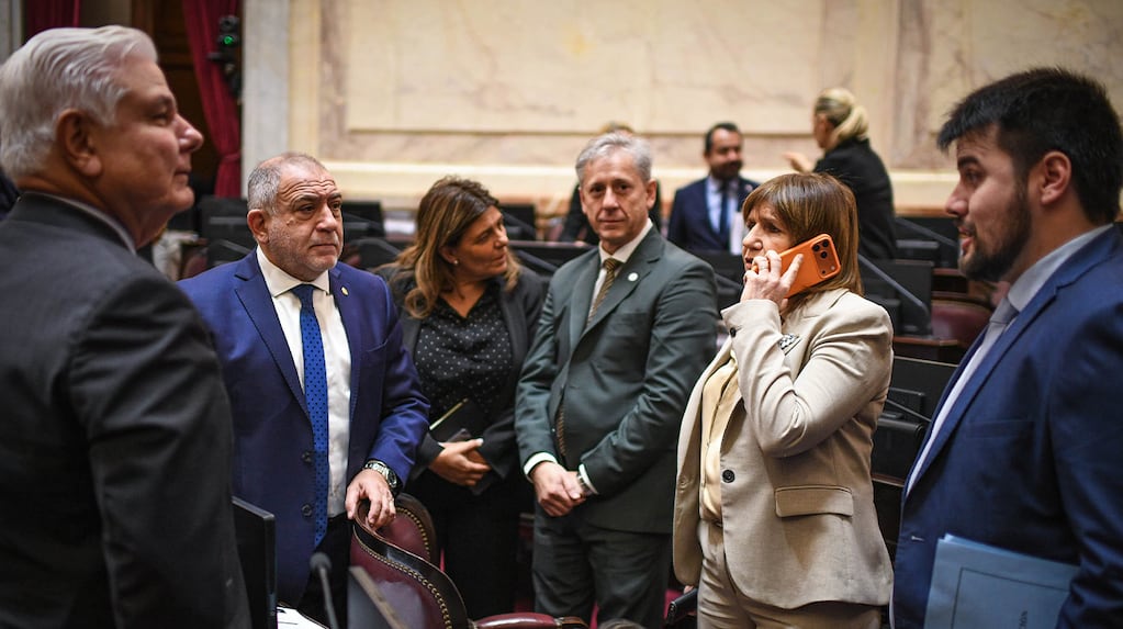Legislative Strategy and Electoral Reform: Argentina's Political Landscape