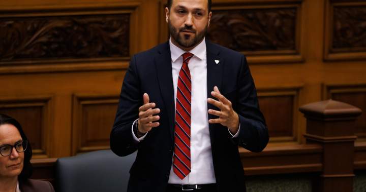 Ontario Liberal leadership race narrows as Cerjanec withdraws