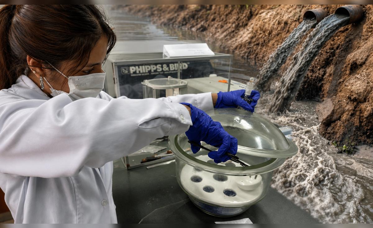 Estudiante de la UNALM investiga biochars elaborados con residuos agrícolas para remover plomo del agua