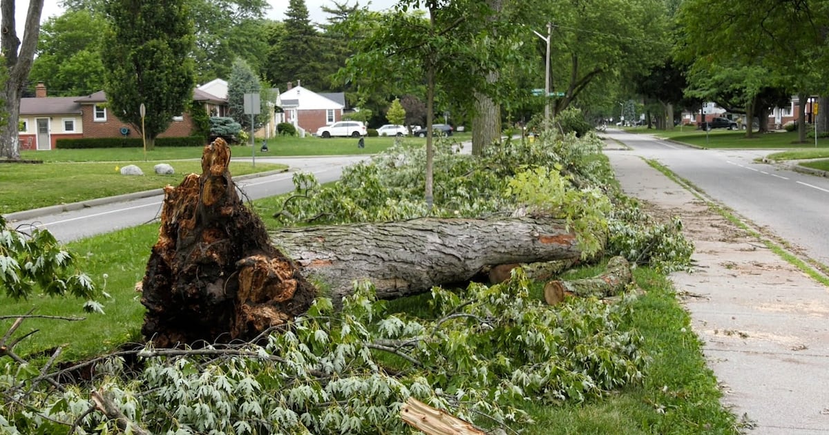Windsor-Essex Faces Multi-Day Cleanup After Weekend Storms