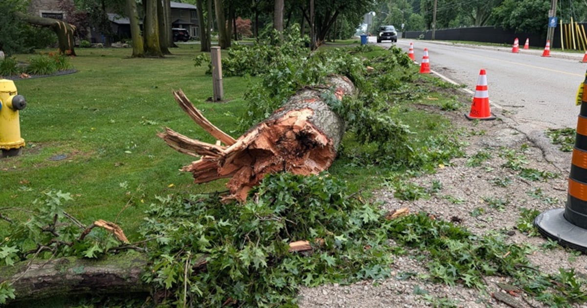 LaSalle offers branch pickup after weekend storms