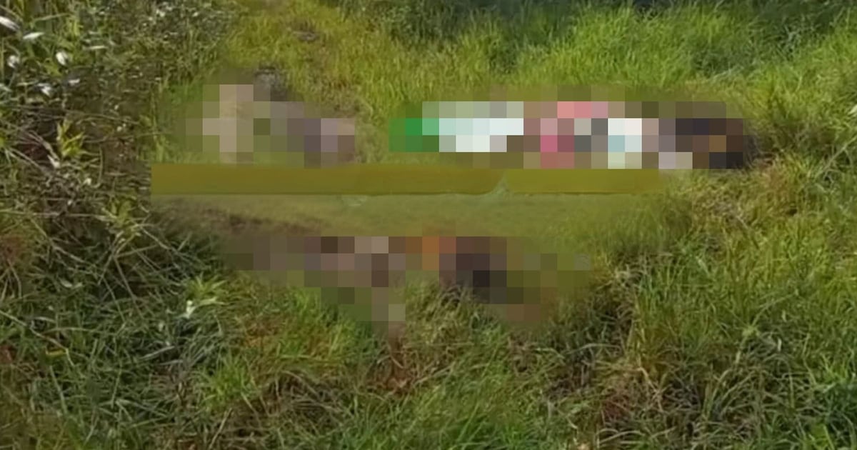 Fiscalía de Chiapas investiga el hallazgo de ocho personas asesinadas en Jitotol por presunta disputa entre grupos delictivos
