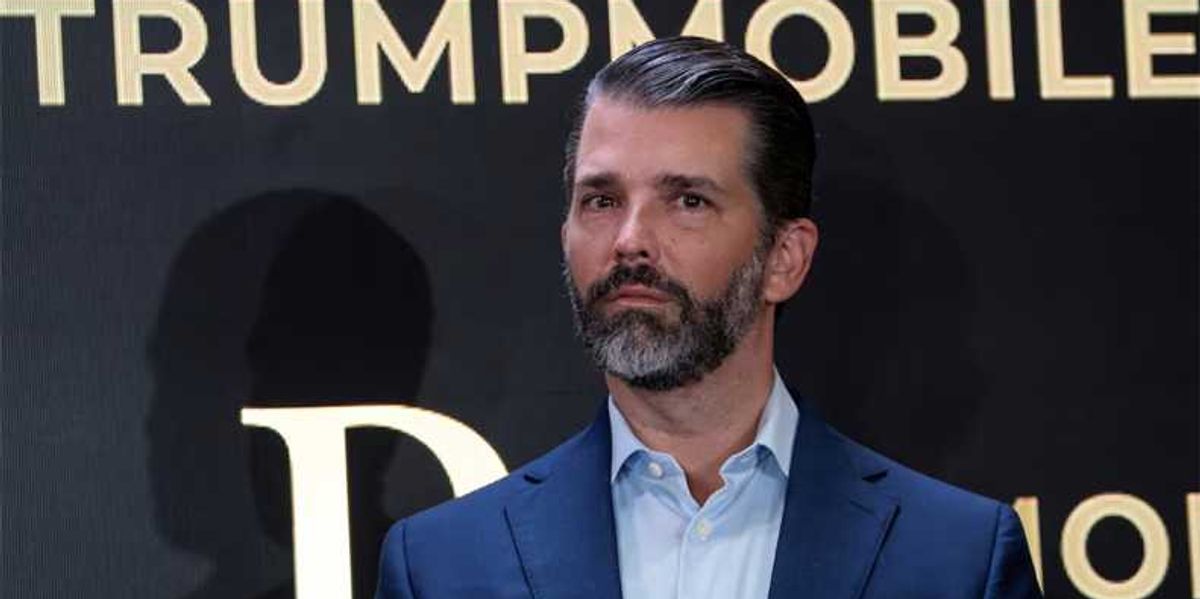 Donald Trump Jr.'s Role at GrabAGun and Gun Regulation Implications