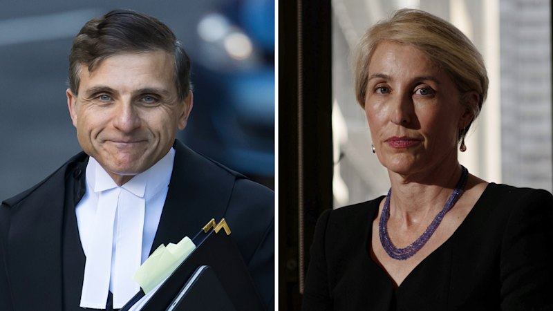Parliamentary Inquiry Calls for Oversight of DPP Amid Controversial Findings