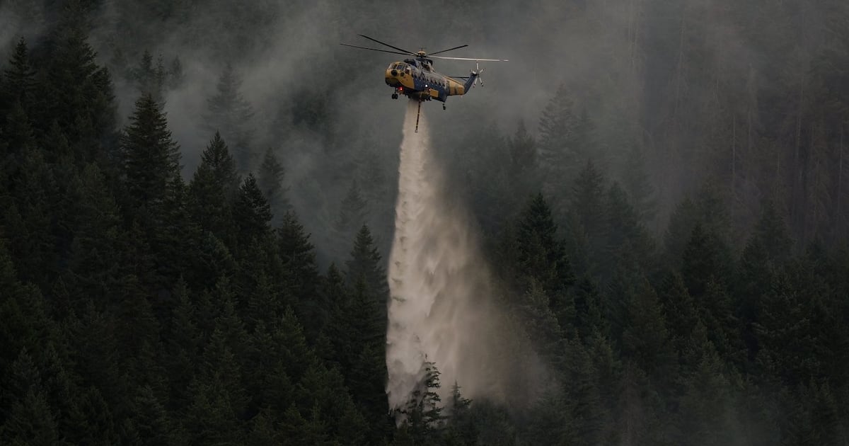 Wildfire forces evacuation near small B.C. highway community as residents monitor blaze