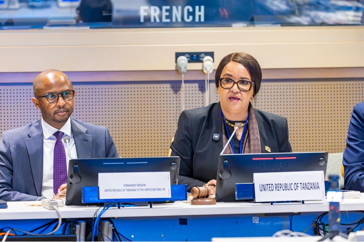 Tanzania's Economic Vision 2050: Path to $1 Trillion Economy by 2050