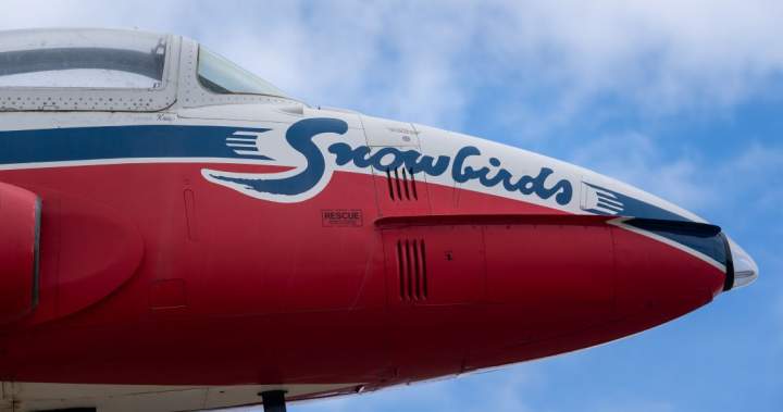 Snowbirds to Perform Final Show in Moose Jaw Before Retiring Tutor Jets