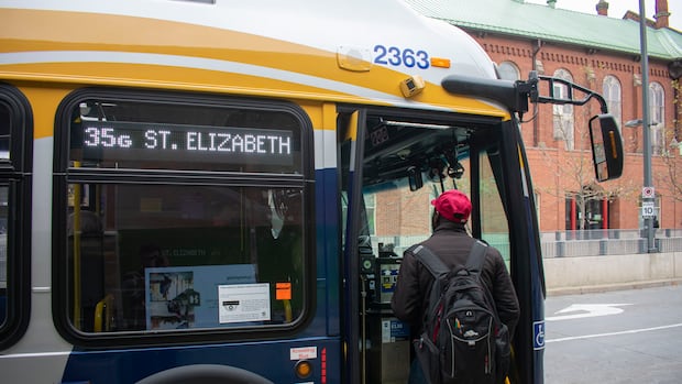 Hamilton Bus Thief Sentenced to Nine Months for Mental Health Treatment and Probation