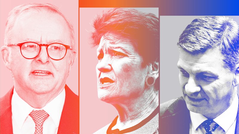 Support for Pauline Hanson’s party declines as Coalition gains ground