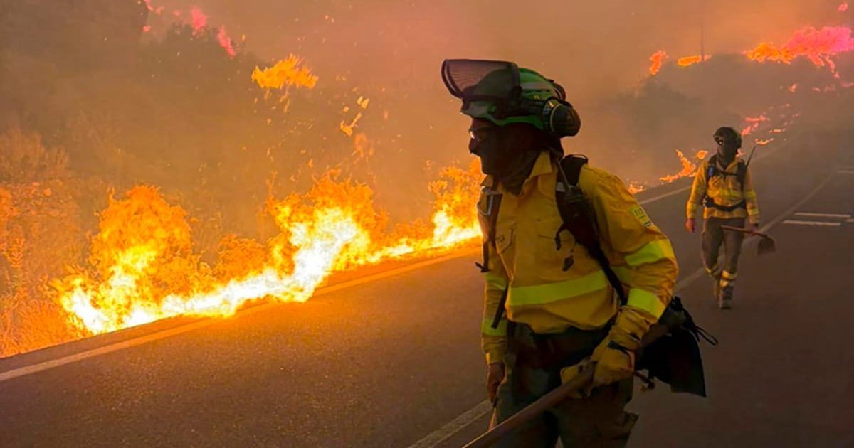 Un incendio forestal en Bédar, Almería, dejó al menos 12 muertos, decenas de heridos y 23 personas desaparecidas