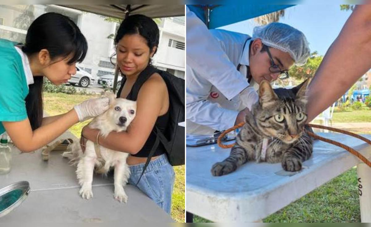 Campaña gratuita de atención veterinaria para mascotas en Cercado de Lima