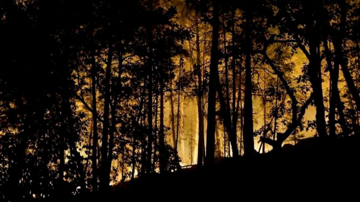 Incendio forestal destruye 1.300 hectáreas en Fontainebleau