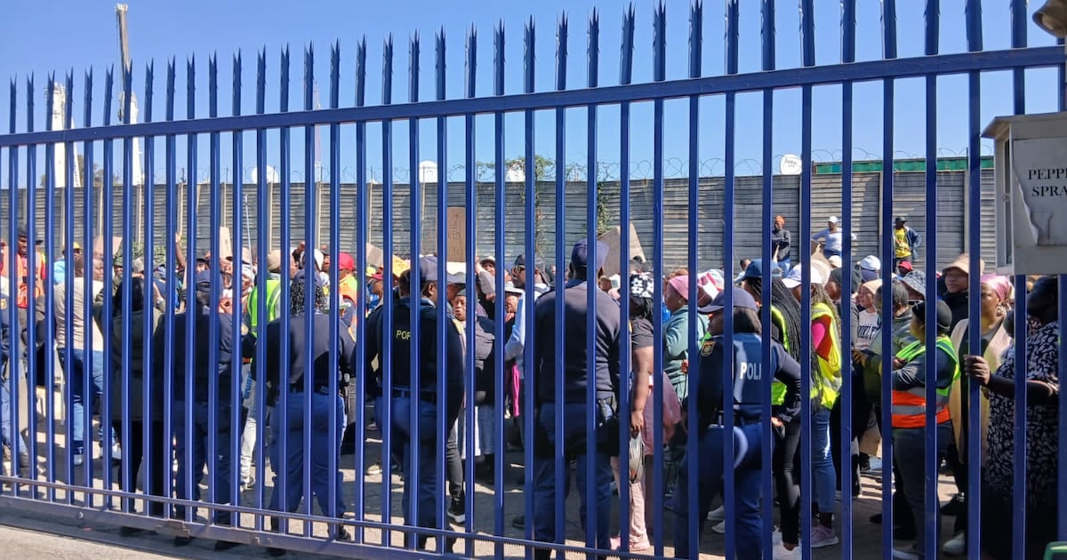Alexandra Residents Protest Over City Power's Electricity Delays and Infrastructure Concerns