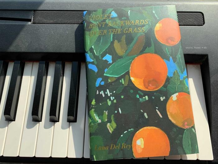 Lana del Rey: su primer libro de poemas refleja su alma artística