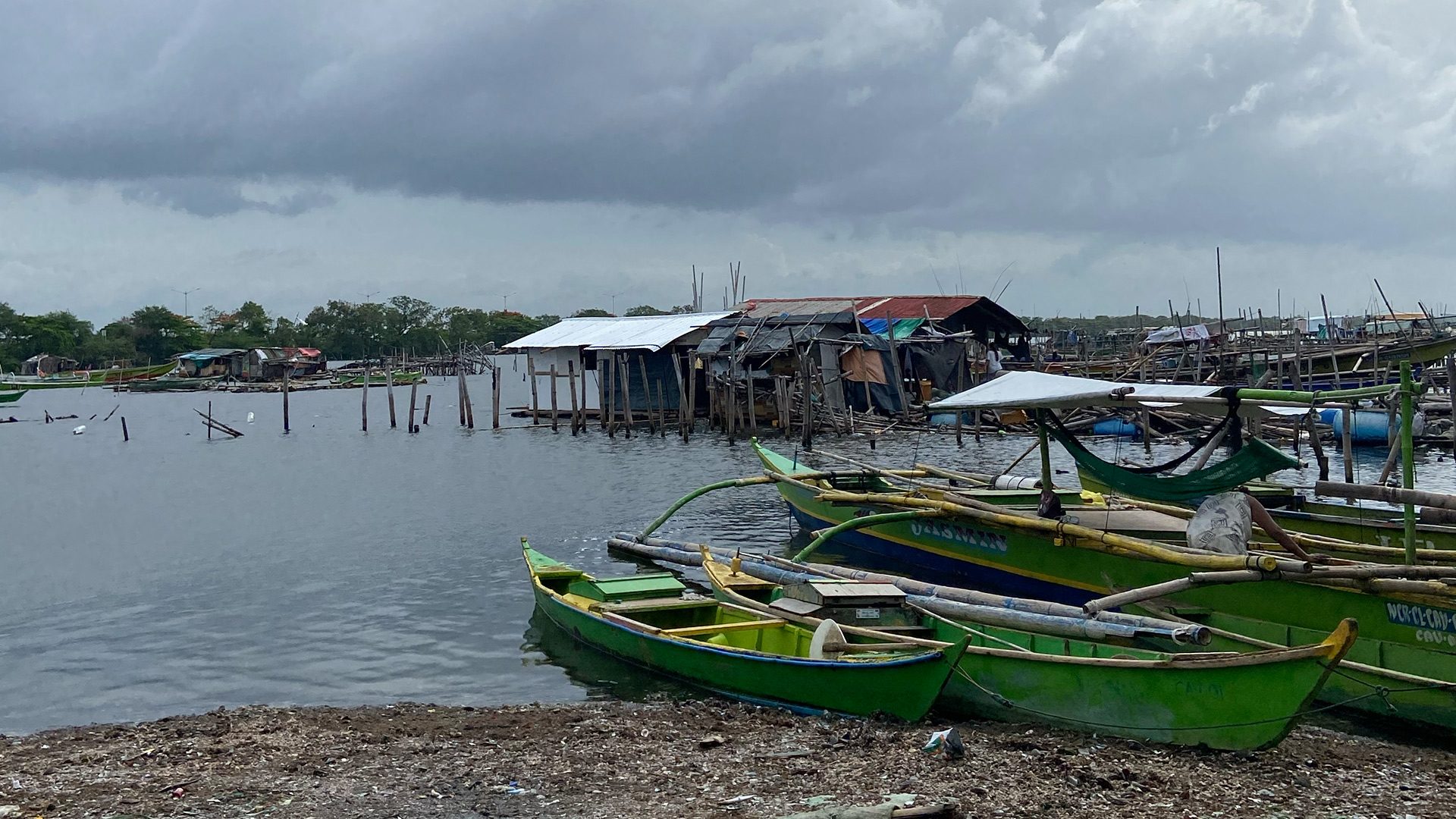 Reclamation Project in Bacoor Threatens Local Mussel Harvests