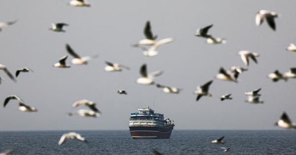 India Halts Seafarer Deployments Amid Hormuz Attacks and Rising Tensions with Iran