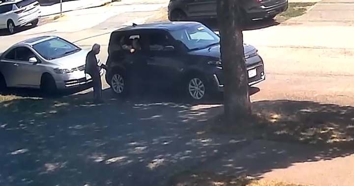 Distraction Theft Incident Involves 88-Year-Old Woman in East Vancouver