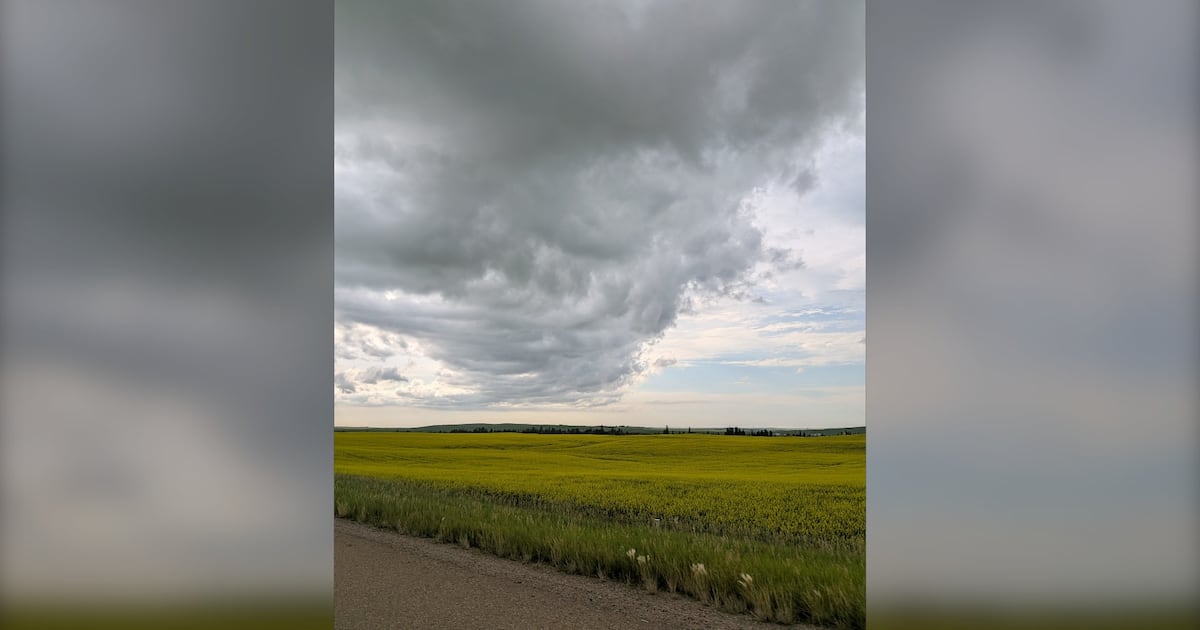 Thunderstorm warning issued for Calgary amid heatwave conditions