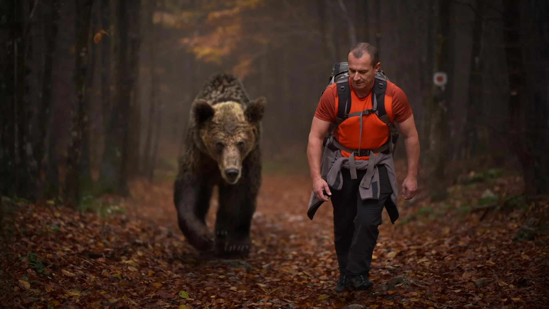 Wildlife Behavior Varies Based on Human Threat Type