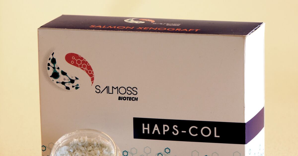 Salmoss Biotech transforma huesos de salmón en biomateriales para regeneración ósea