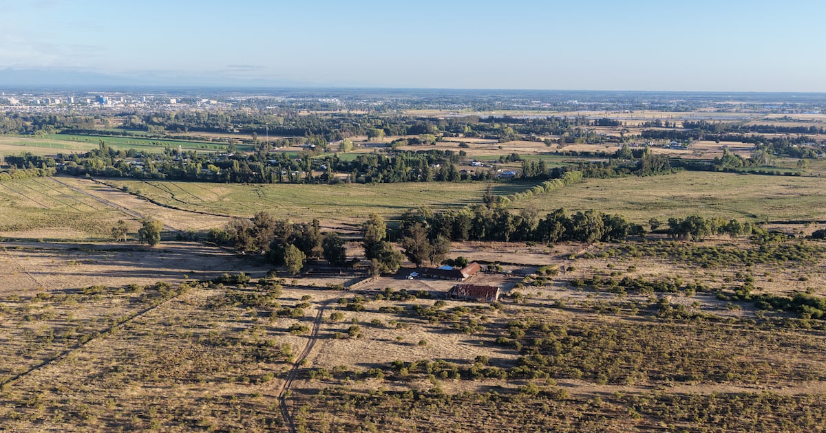 Toesca Expande Estrategia Agrícola con 800 Hectáreas para Proyecto de Aguacate
