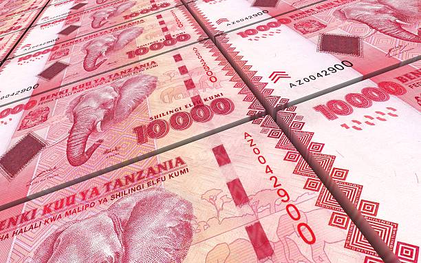 Tanzania receives 8 billion USD from Norway for renewable energy projects