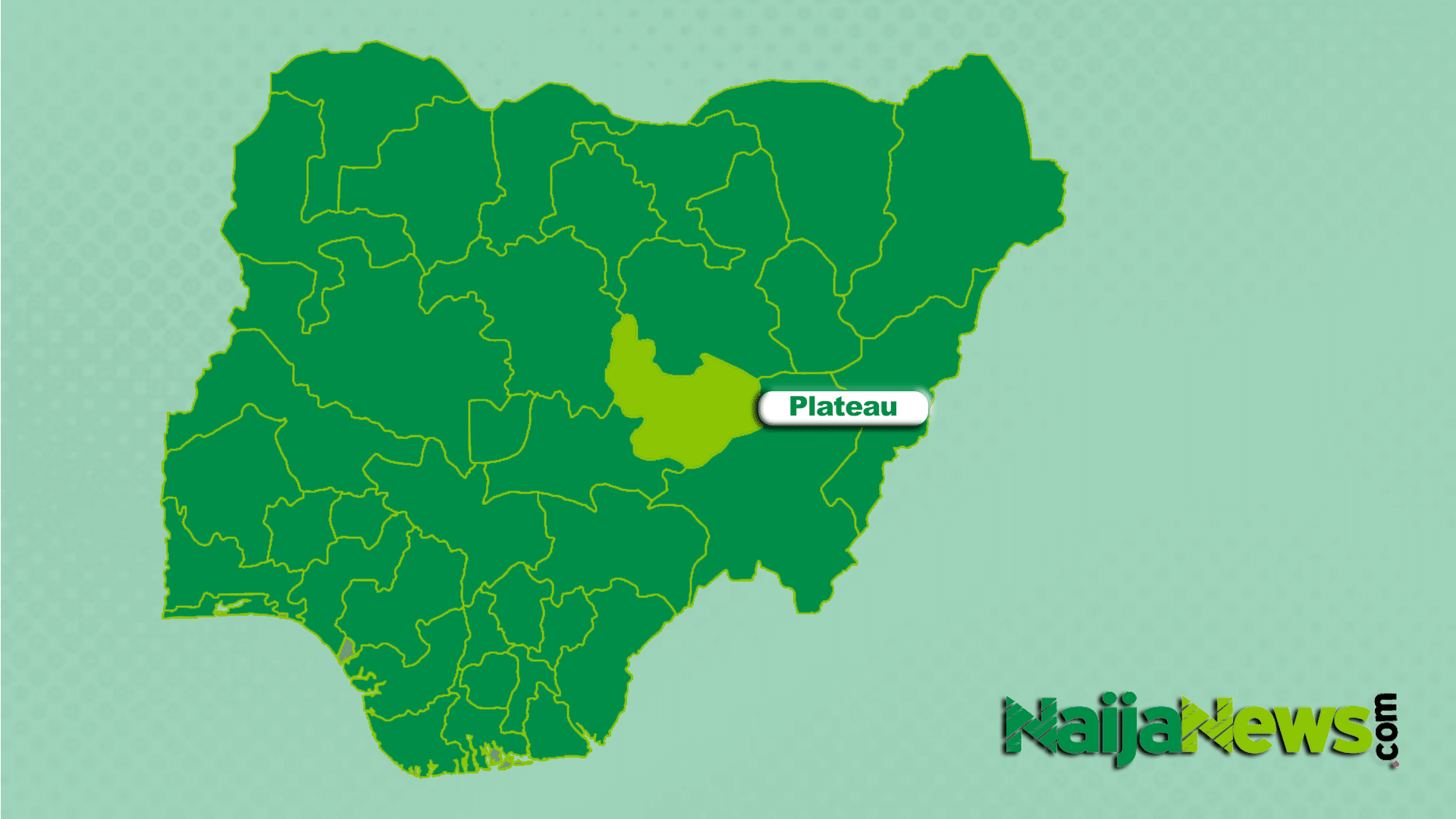 Survivor recounts family massacre in Plateau State attack