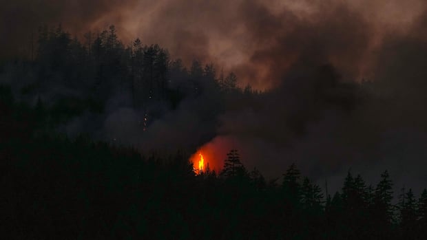 Lightning sparks surge in B.C. wildfires, prompting evacuations and firefighting efforts