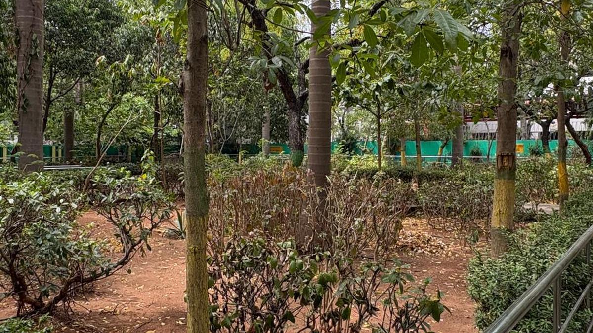 Sprinkler Issues Threaten Greenery at GCC Park in Kalakshetra Colony
