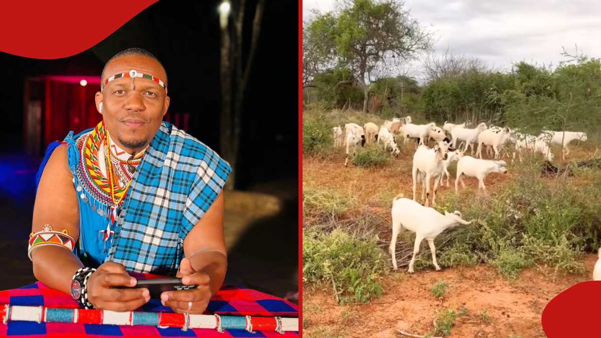 Ben Kitili's Agricultural Ventures: Goat Farming and Orange Cultivation in Kitui