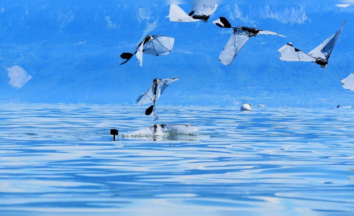 Robots inspirados en aves acuáticas revolucionan la exploración marina
