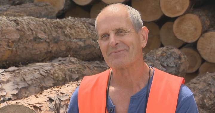 Wildfires threaten Manitoba's logging industry and economic stability