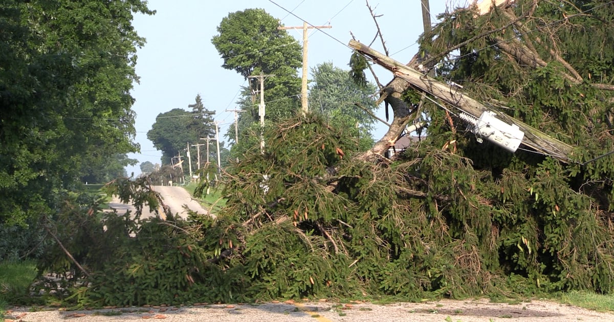 Severe Storm Causes Tree Damage and Power Outages in Elgin County