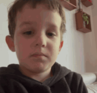 Missing 4-Year-Old Boy Abducted in West Kelowna, RCMP Investigate