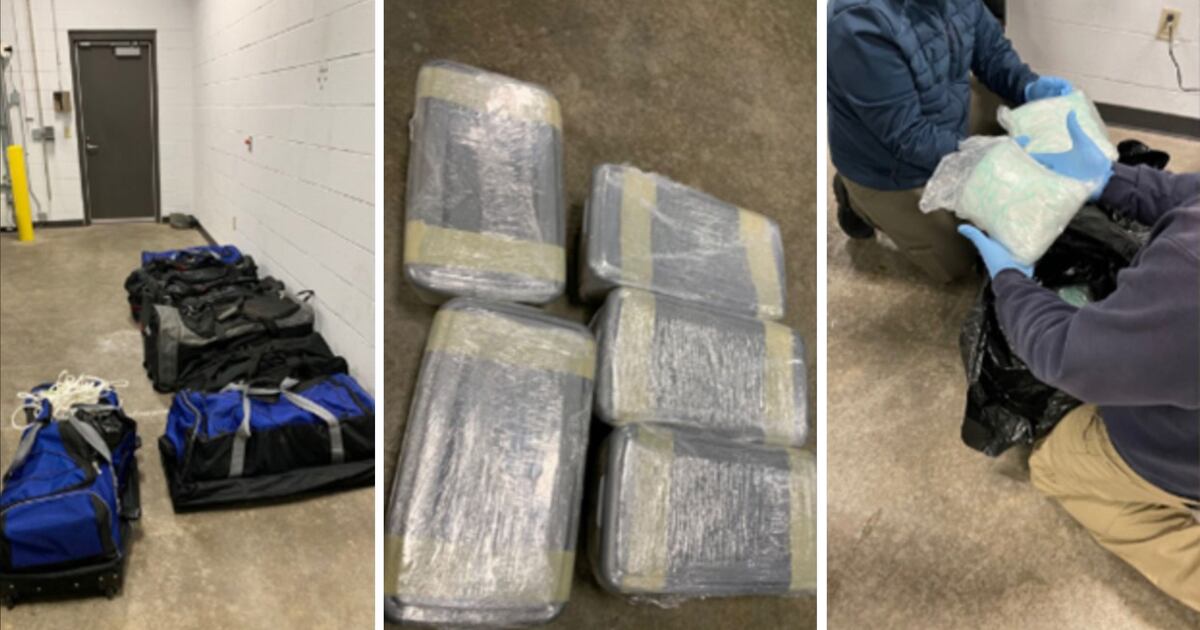 Vancouver Judge Sentences Man for Attempting to Smuggle Drugs into Canada