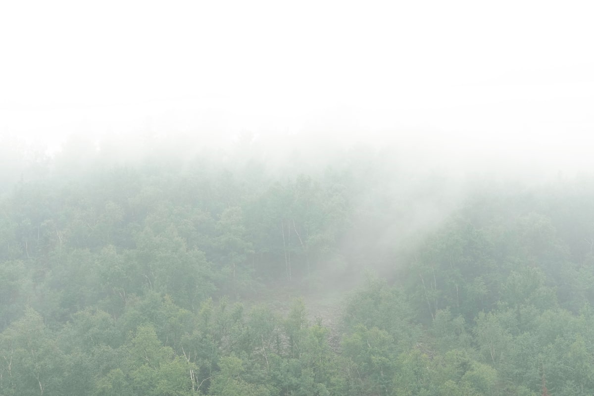 Canada’s Forest Industry Faces Crucial Role in Combating Wildfires