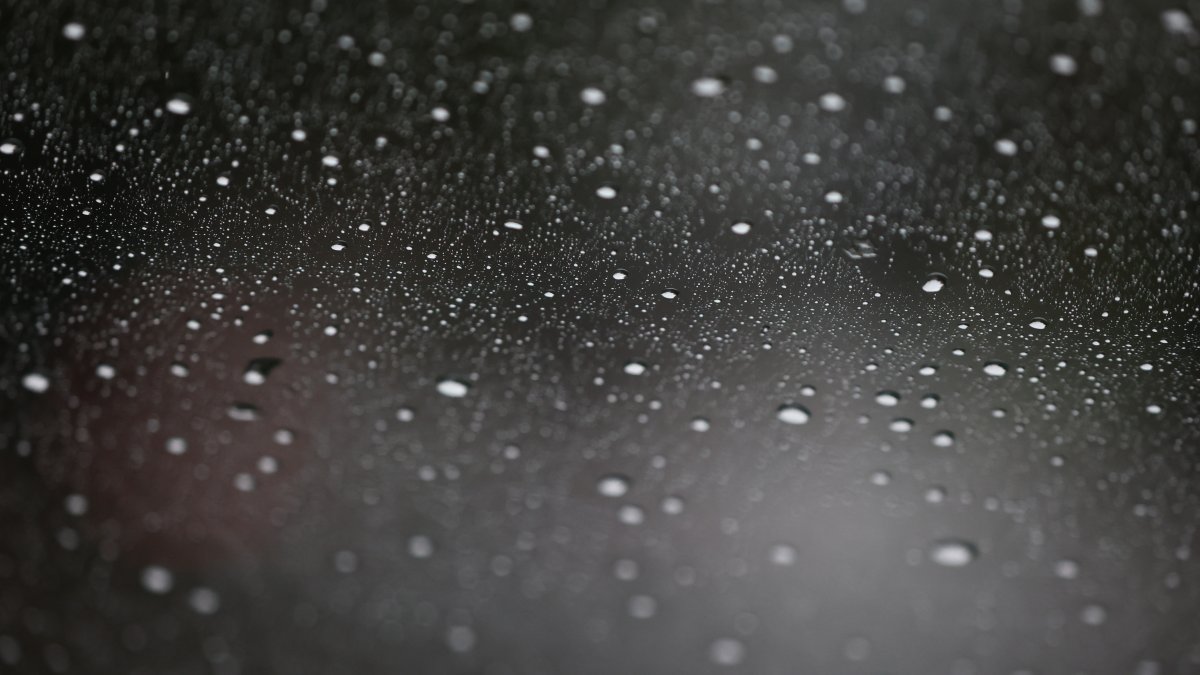 Alerta climática: Lluvias y vientos intensos en zonas del sur de Chile