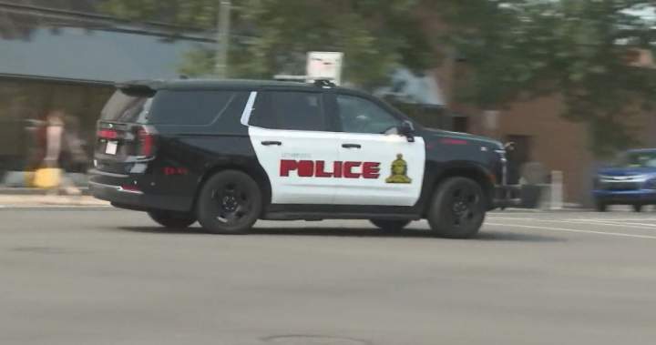 Lethbridge's Crime Severity Index Ranks 6th in Canada Despite Police Efforts to Improve Safety