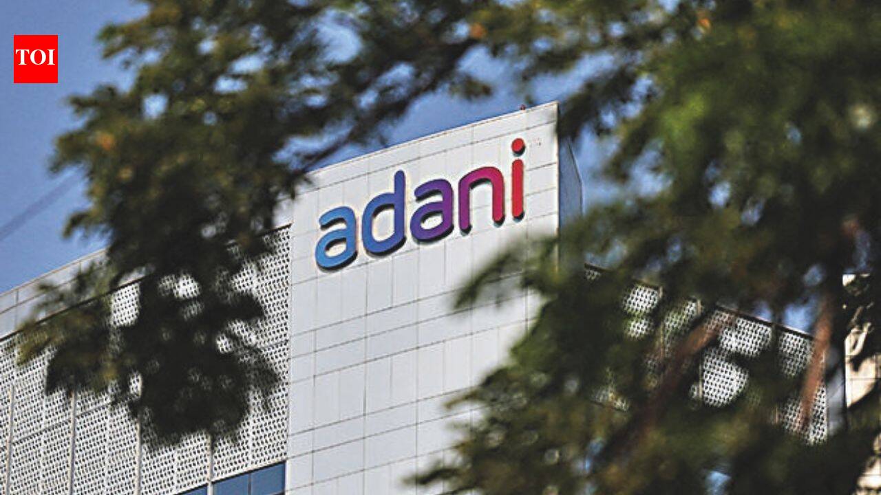 Adani Group Denies Airline Expansion Plans Amid Industry Challenges