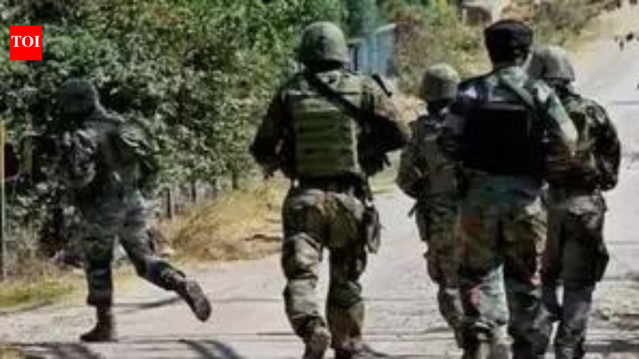 J&K sees rise in detentions amid ongoing manhunt for terrorist suspects