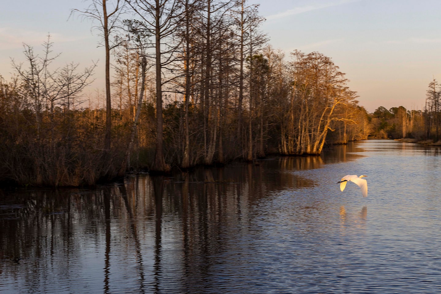 Georgia's Okefenokee Swamp Designated as UNESCO World Heritage Site