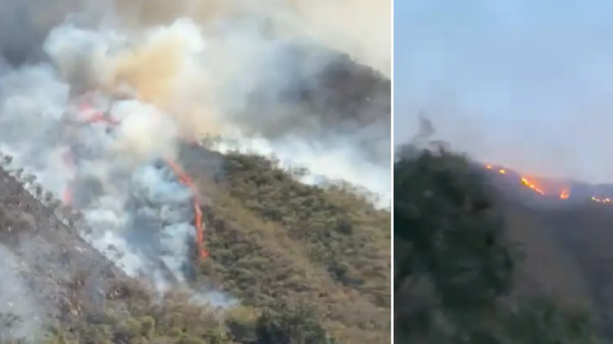 Incendio forestal en Tiatino: Bomberos trabajan para controlar la emergencia