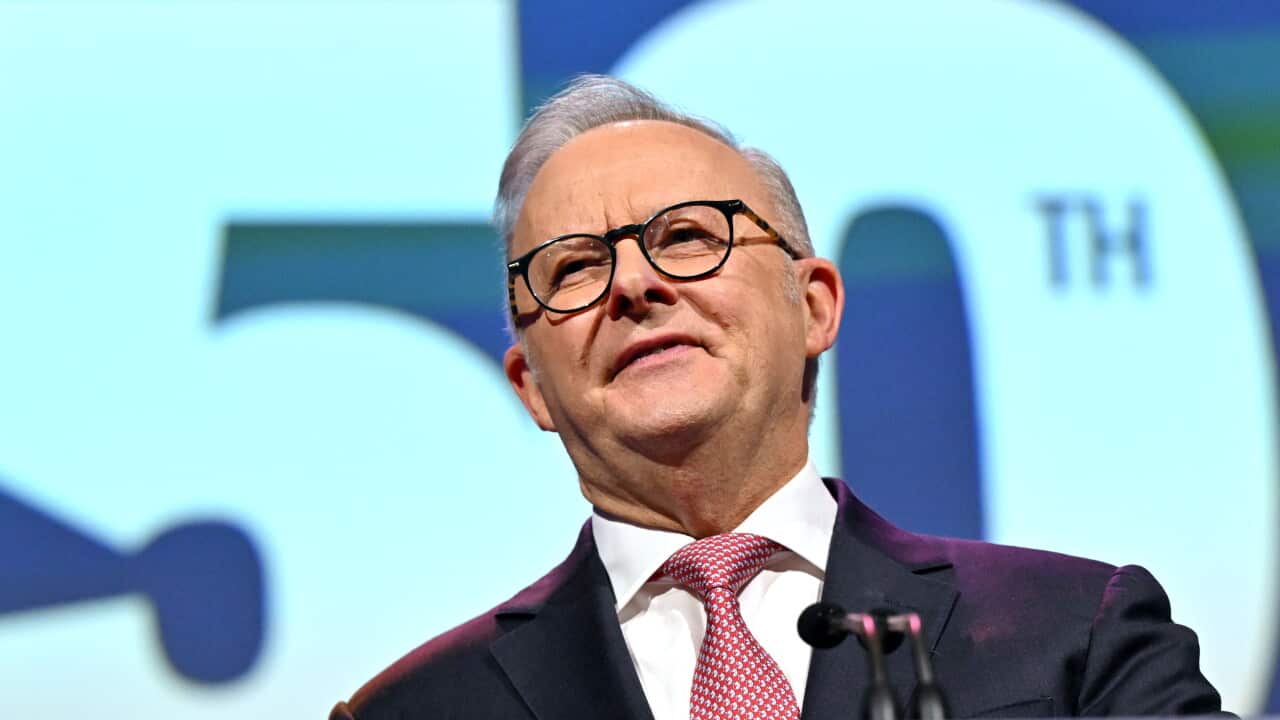 Albanese's firm grip on Labor Party at national conference